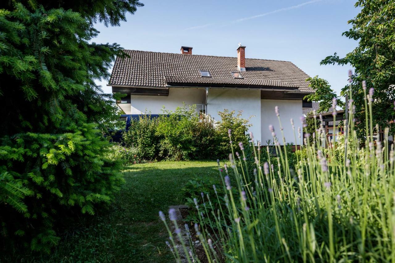 Cosy & Spacious Apt. Benc Zirovnica Luaran gambar