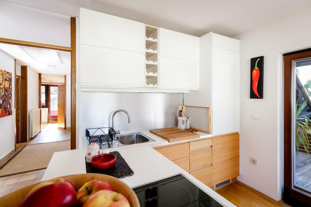Cosy & Spacious Apt. Benc Zirovnica Luaran gambar